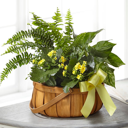 Always Dear Dishgarden –  The Love Bug Flowers, Timmins ON