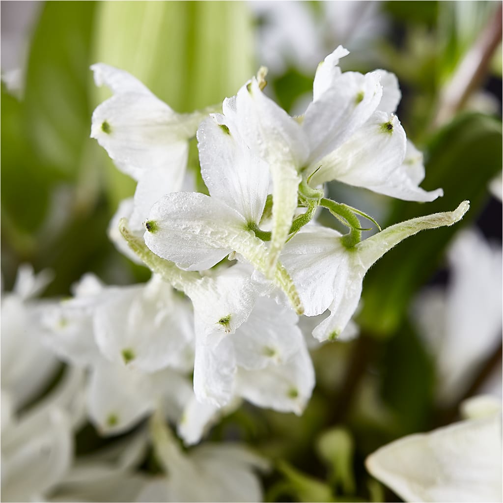 Classic Ivory – A Florist Original –  The Love Bug Flowers, Timmins ON