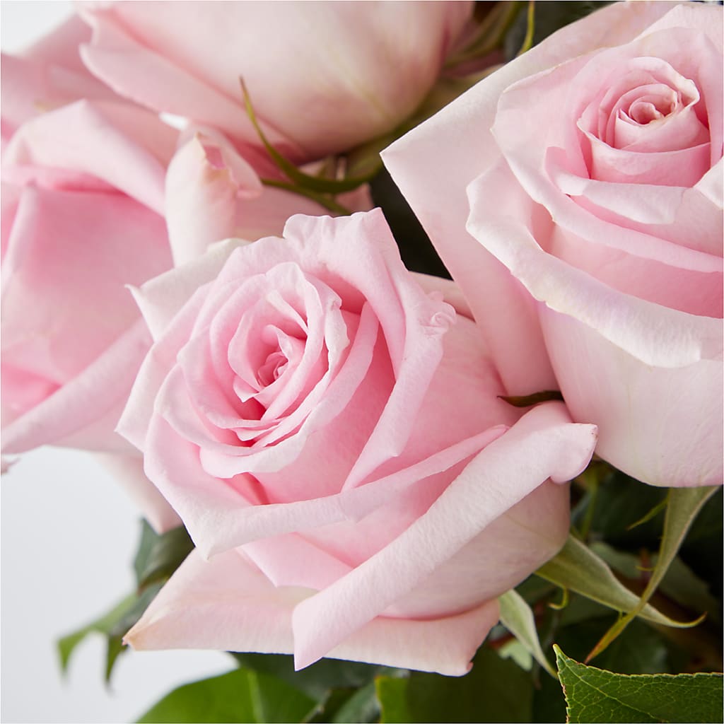Picture Perfect Pink Rose Bouquet –  The Love Bug Flowers, Timmins ON