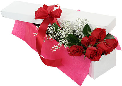 6 Roses Boxed –  The Love Bug Flowers, Timmins ON