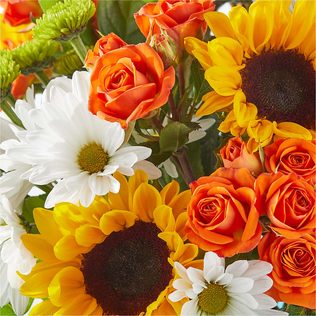 Sun-drenched Blooms Bouquet –  The Love Bug Flowers, Timmins ON