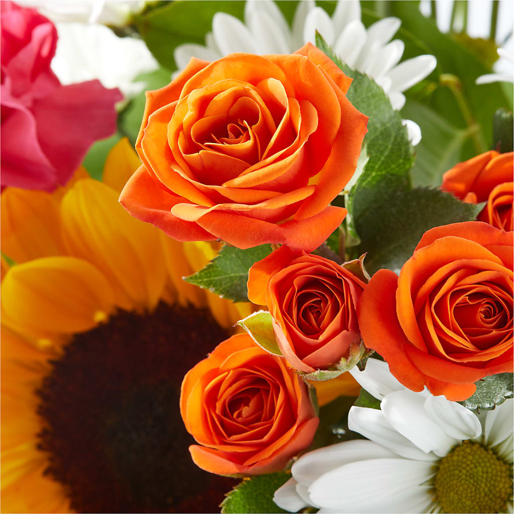 Sun-drenched Blooms Bouquet –  The Love Bug Flowers, Timmins ON