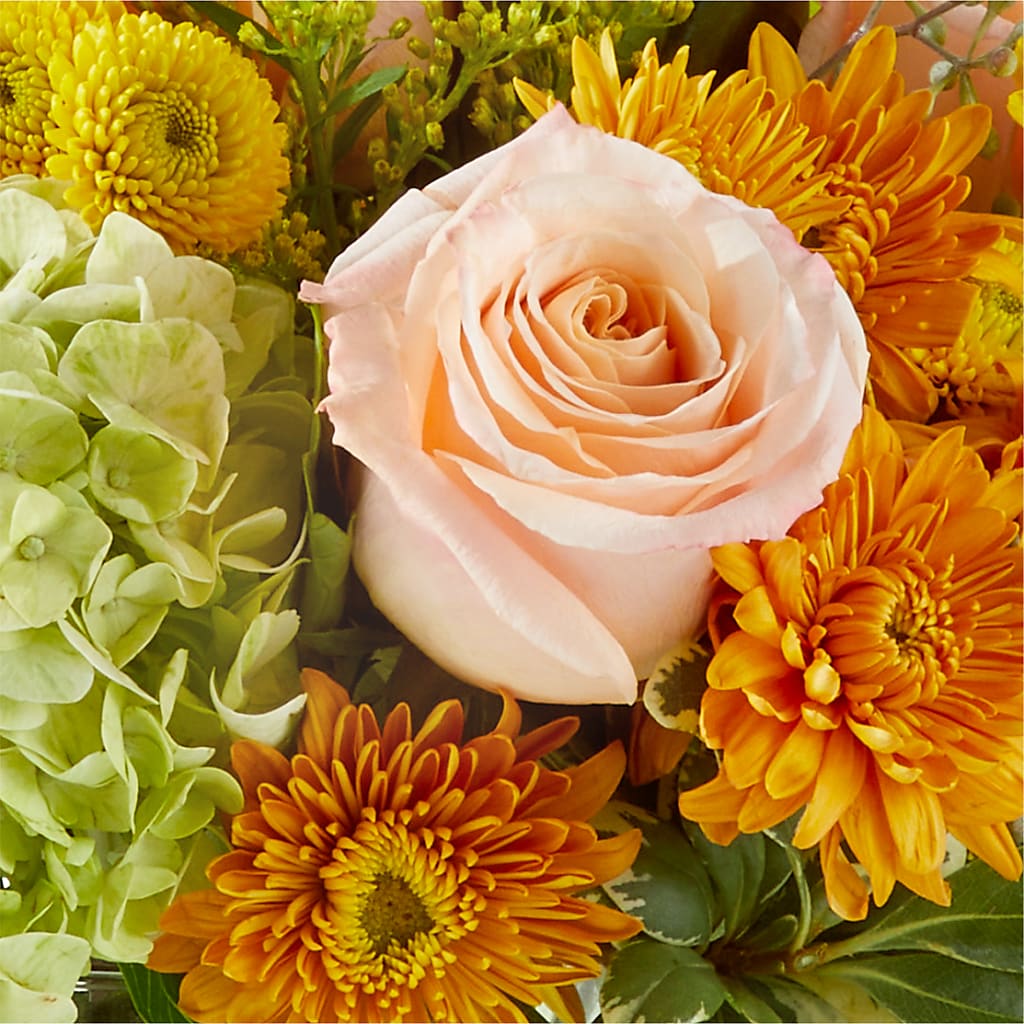 Fall Foliage Bouquet –  The Love Bug Flowers, Timmins ON