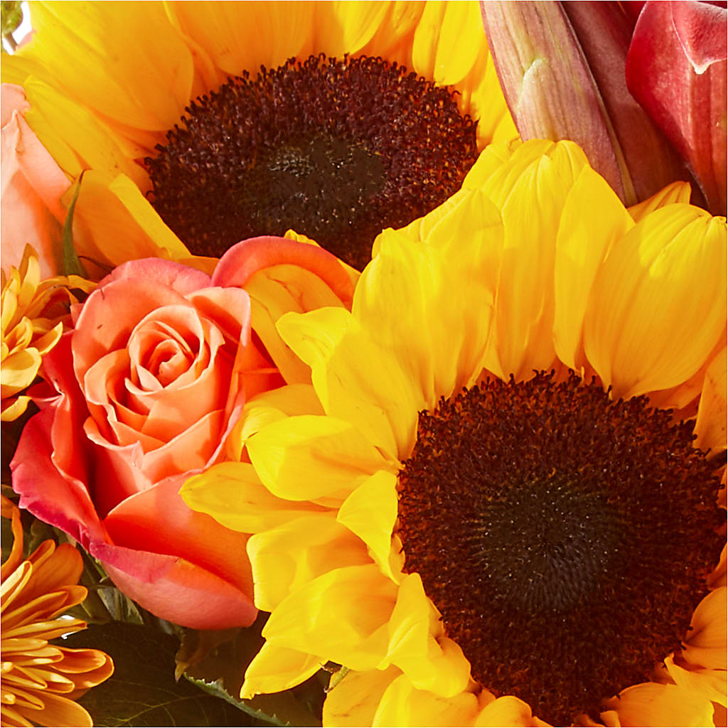 Acorn Lane Bouquet –  The Love Bug Flowers, Timmins ON