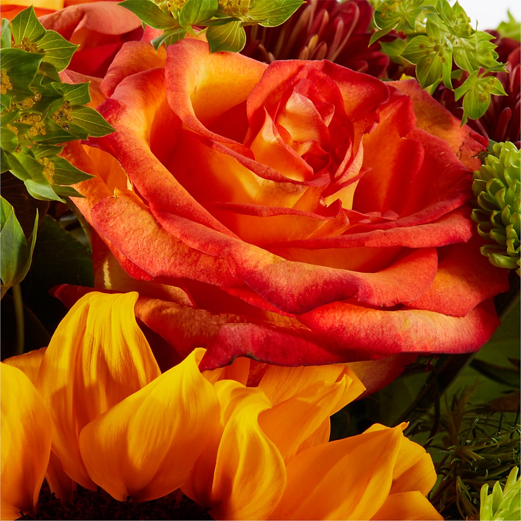 Harvest Festival Bouquet –  The Love Bug Flowers, Timmins ON