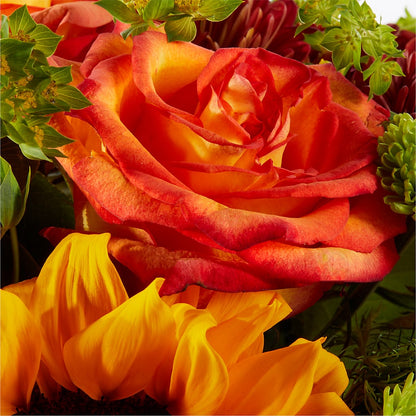 Harvest Festival Bouquet –  The Love Bug Flowers, Timmins ON