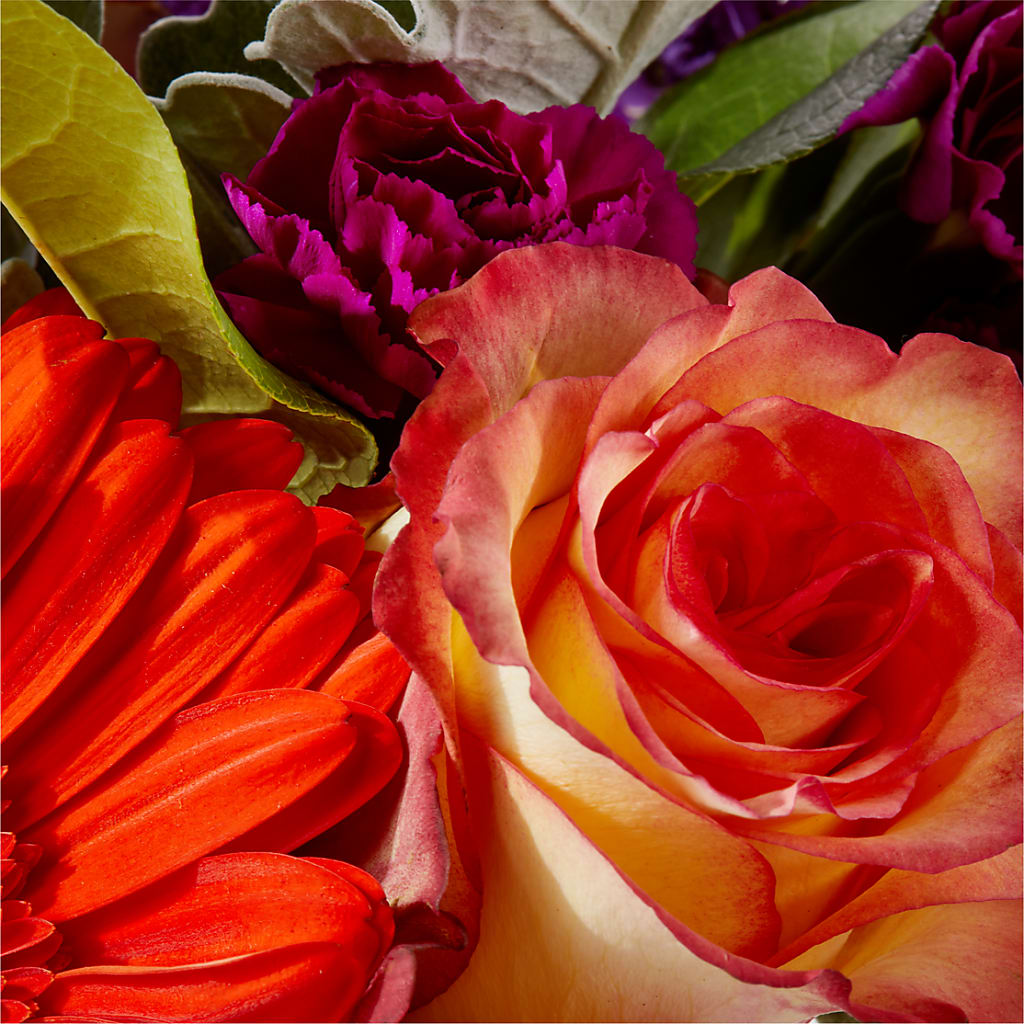 Sangria Bouquet –  The Love Bug Flowers, Timmins ON
