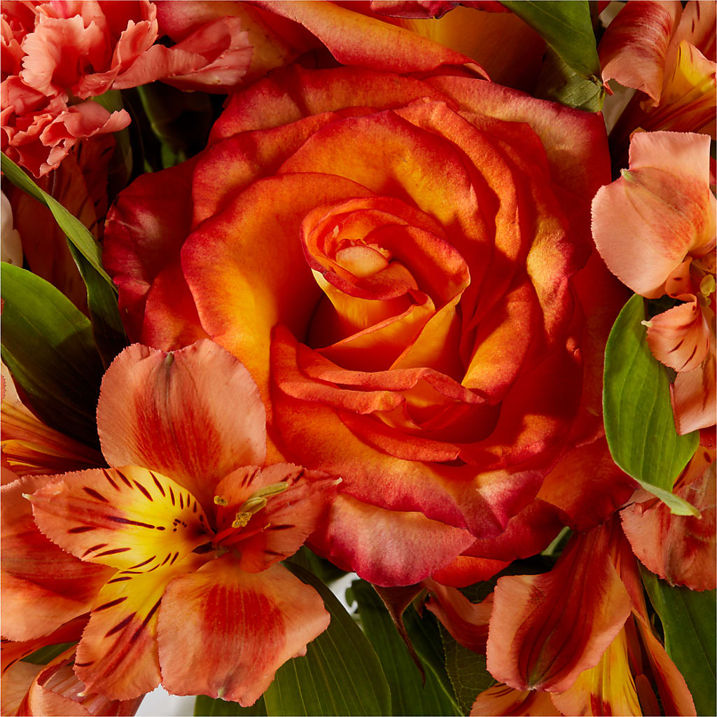 Apricot Glow Bouquet –  The Love Bug Flowers, Timmins ON
