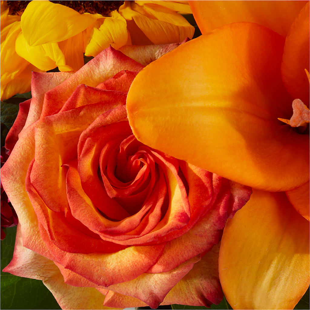 Grateful Centerpiece –  The Love Bug Flowers, Timmins ON