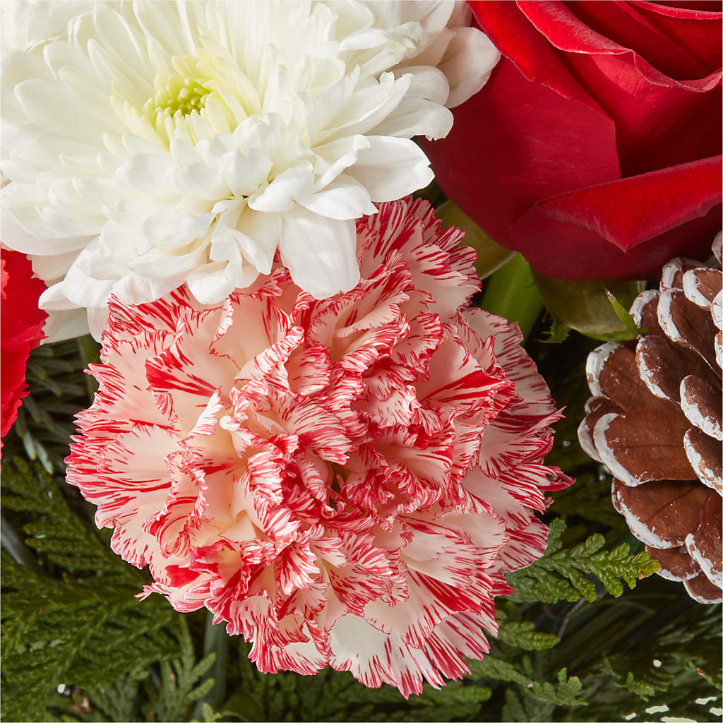 Candy Cane Lane Bouquet –  The Love Bug Flowers, Timmins ON