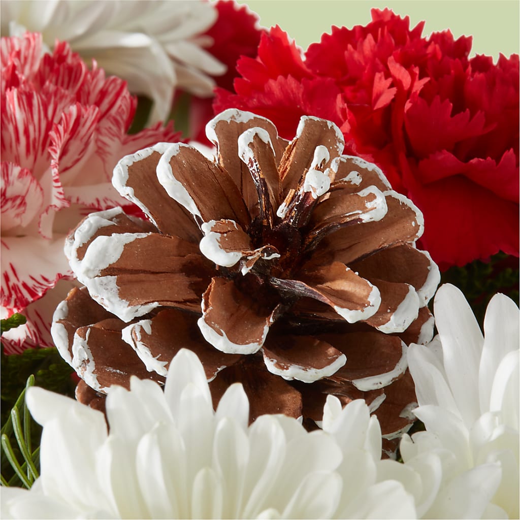 Candy Cane Lane Bouquet –  The Love Bug Flowers, Timmins ON
