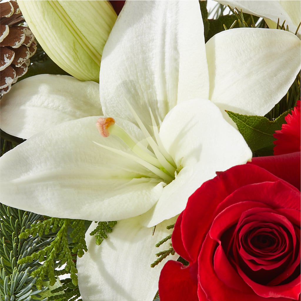 Oh So Jolly Bouquet –  The Love Bug Flowers, Timmins ON