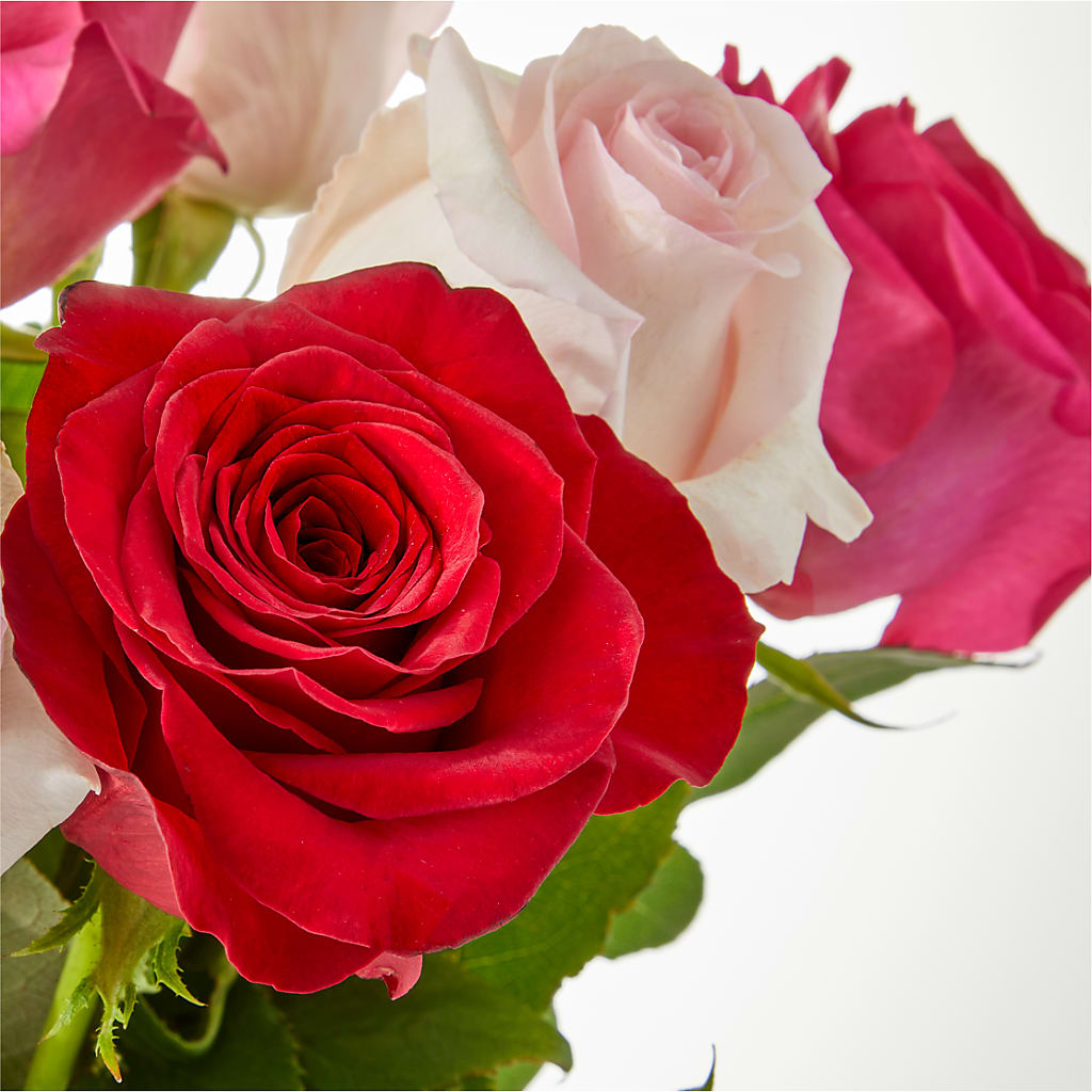 Charming Rose Bouquet –  The Love Bug Flowers, Timmins ON