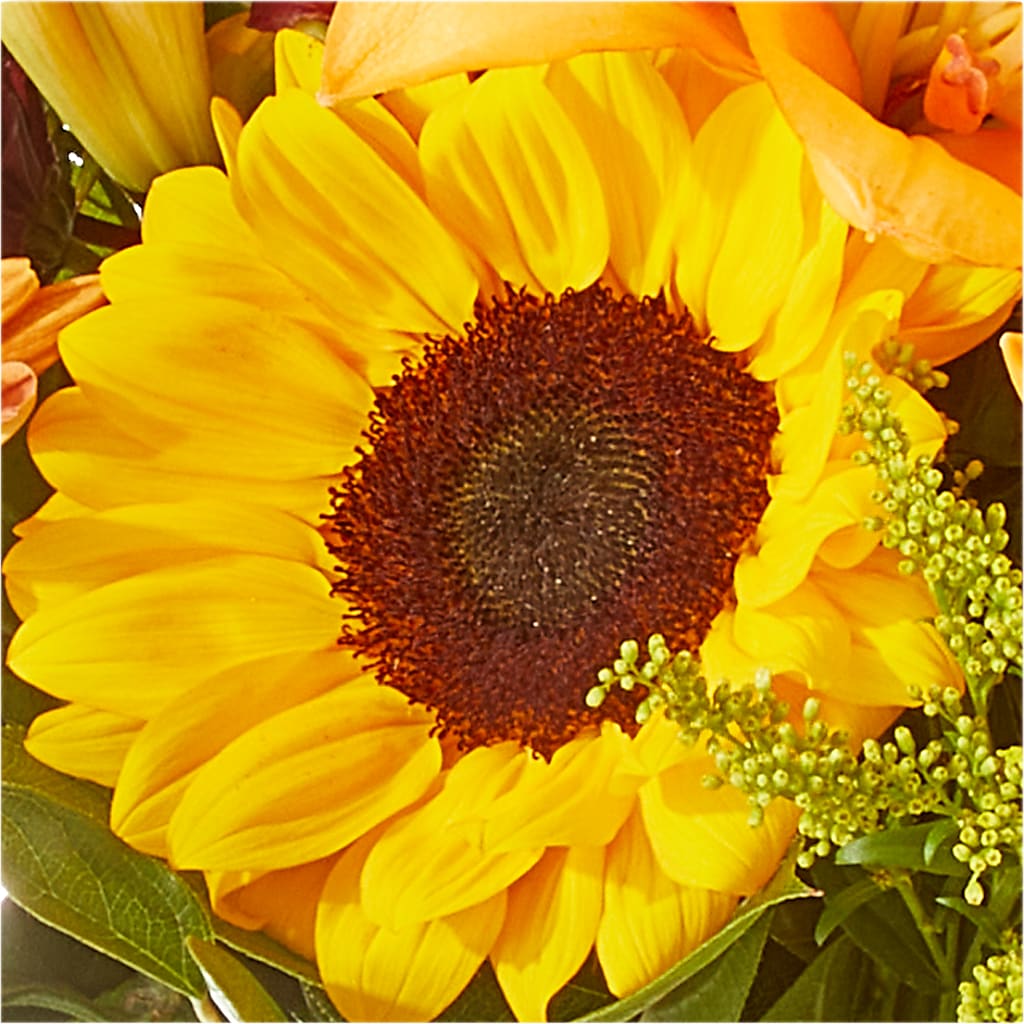 Seasons Change Bouquet –  The Love Bug Flowers, Timmins ON