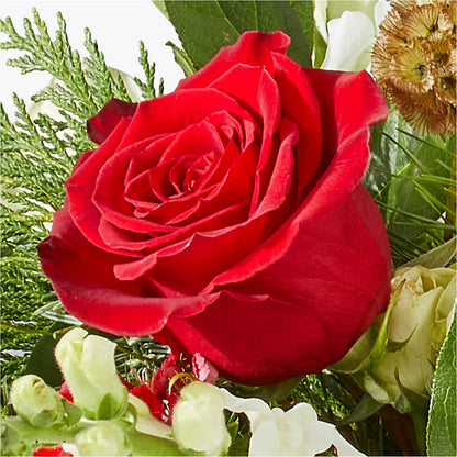 Deck the Halls Bouquet –  The Love Bug Flowers, Timmins ON