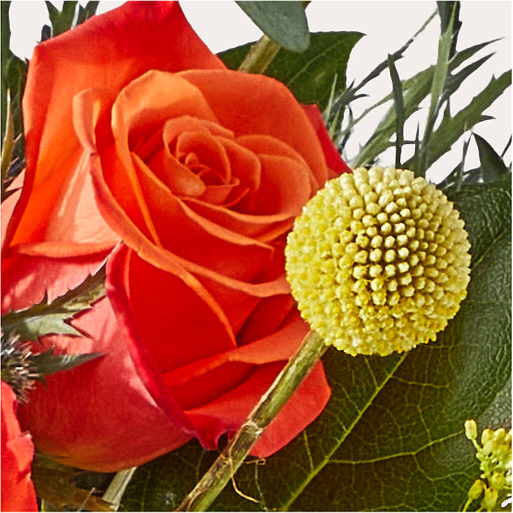Disco Bouquet –  The Love Bug Flowers, Timmins ON