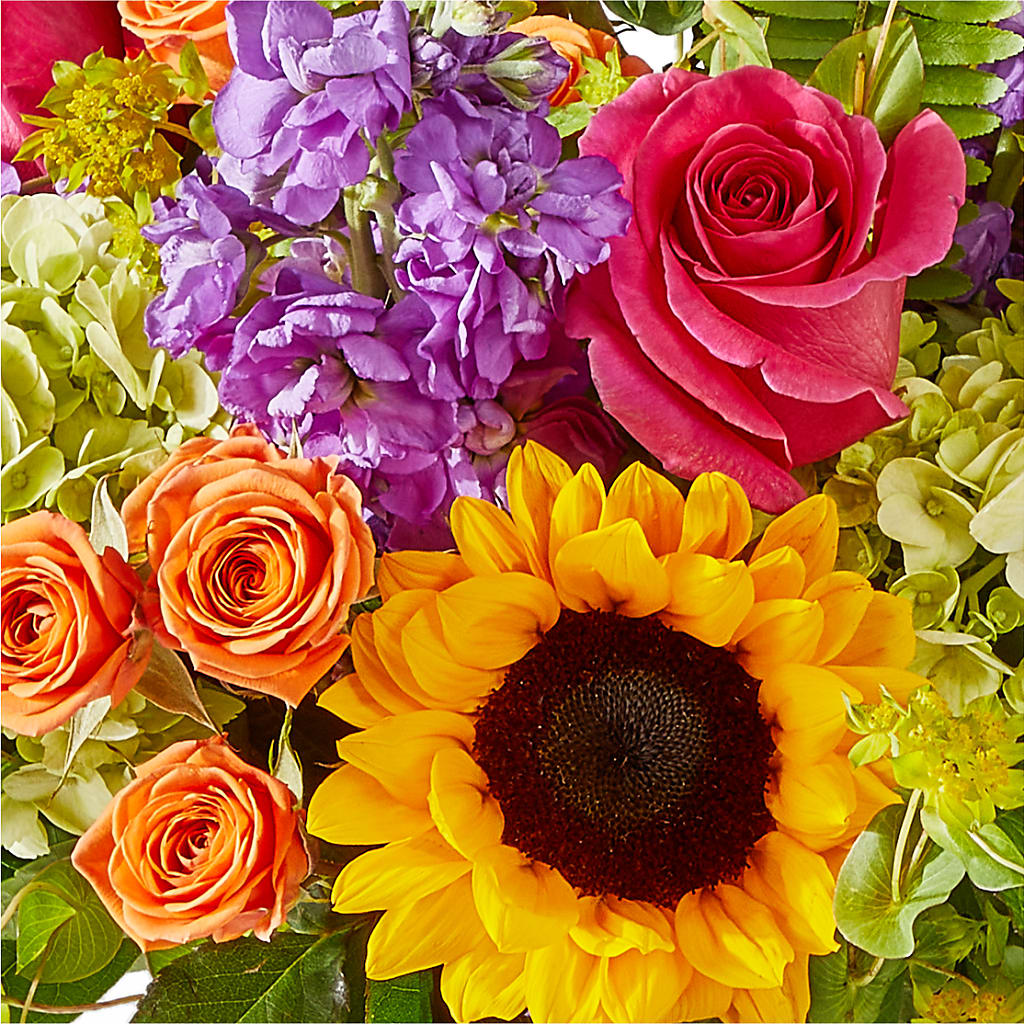 Vibrant Greetings Bouquet –  The Love Bug Flowers, Timmins ON