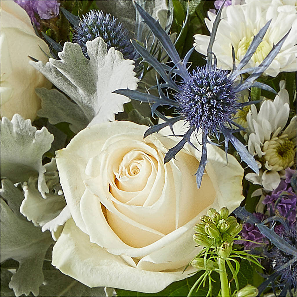 Shooting Star Bouquet –  The Love Bug Flowers, Timmins ON