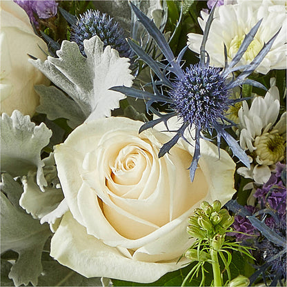 Shooting Star Bouquet –  The Love Bug Flowers, Timmins ON