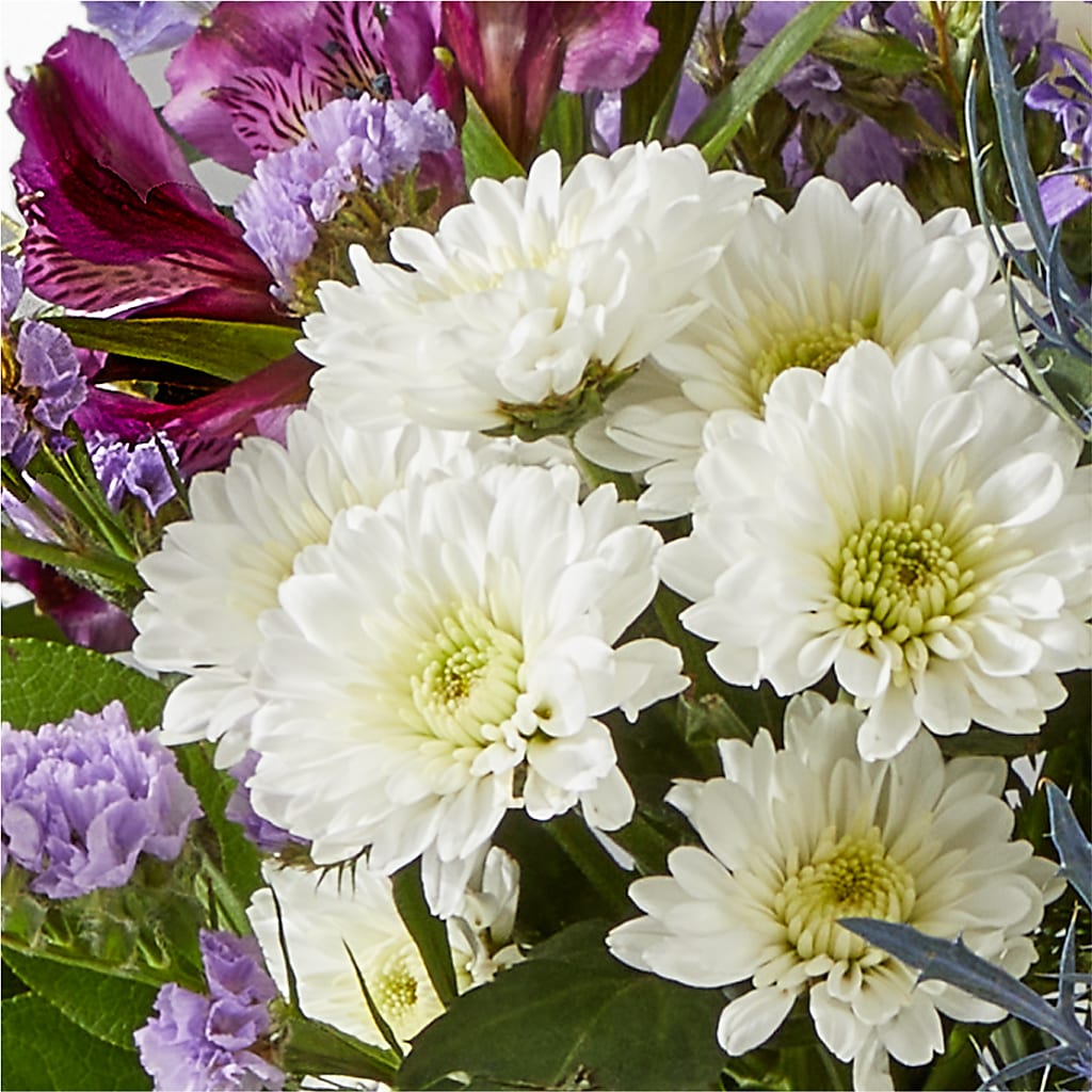 Shooting Star Bouquet –  The Love Bug Flowers, Timmins ON