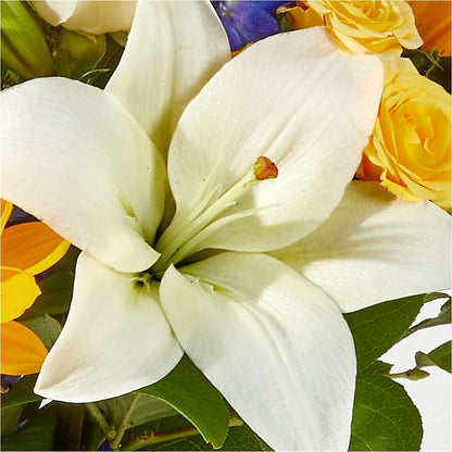 Wonderfully Sunny Bouquet –  The Love Bug Flowers, Timmins ON