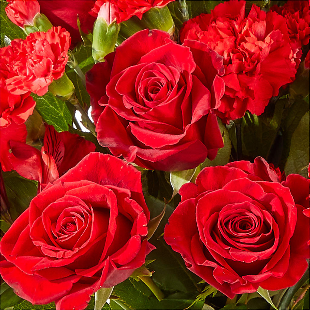 The Heartstrings Bouquet –  The Love Bug Flowers, Timmins ON