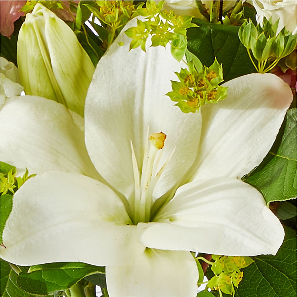 Fondly Bouquet –  The Love Bug Flowers, Timmins ON