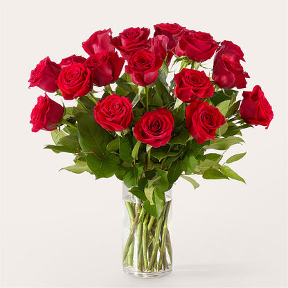 The One Red Rose Bouquet –  The Love Bug Flowers, Timmins ON