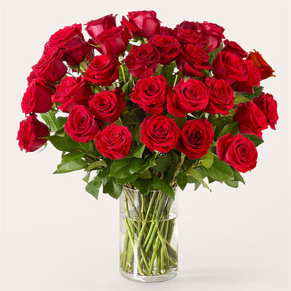 The One Red Rose Bouquet –  The Love Bug Flowers, Timmins ON