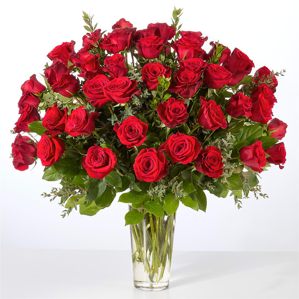 Forever Yours Fifty Stem Red Rose Bouquet –  The Love Bug Flowers, Timmins ON