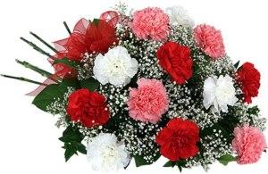 12 Carnation Handtied Bouquet –  The Love Bug Flowers, Timmins ON