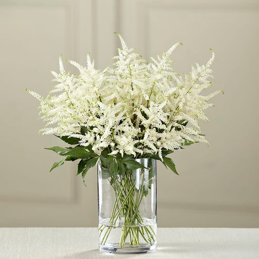 Ramo de astilbe blanco