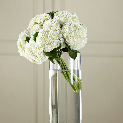 White Hydrangea Hand-Tied Bouquet –  The Love Bug Flowers, Timmins ON