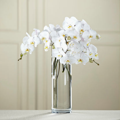 White Phalaenopsis Bouquet –  The Love Bug Flowers, Timmins ON